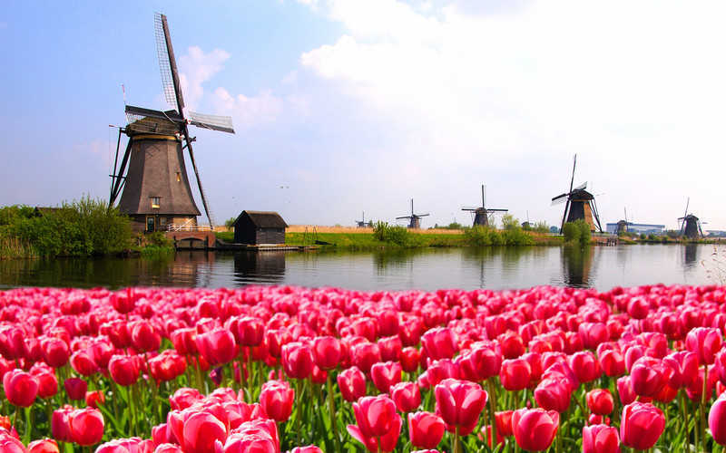 Holandia wyda 200 tys. euro na zmianę nazwy kraju 