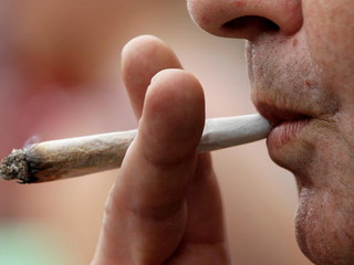 Marihuana coraz popularniejsza wśród Polaków
