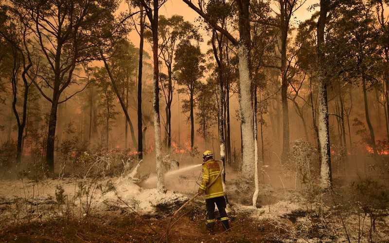 Australia: Udało opanować się "wielki pożar". Synoptycy zapowiadają deszcze
