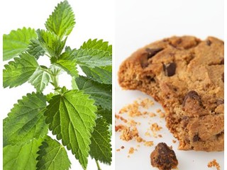  Biscuits And Nettles - The New Assault Weapons 
