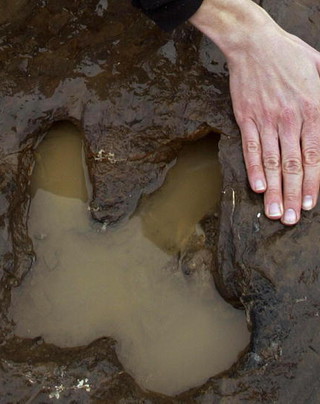 800000-year-old human footprints found in Norfolk