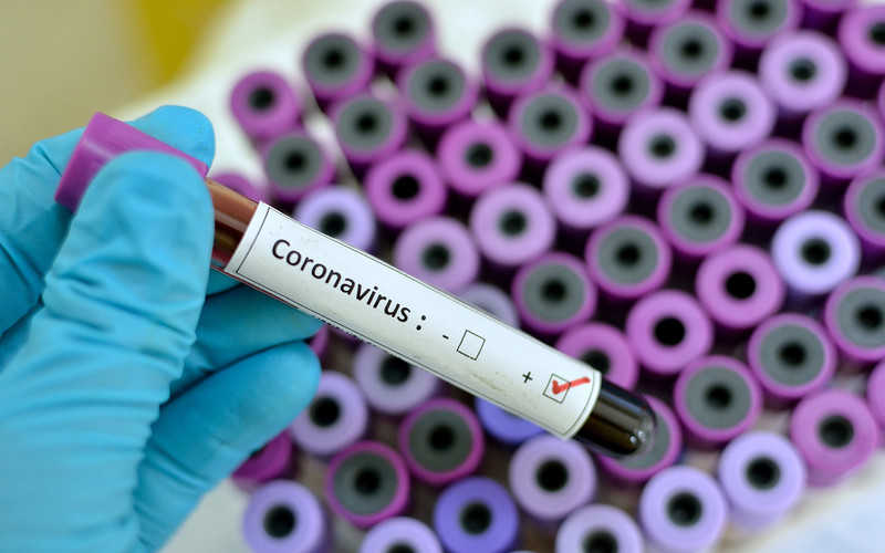 Expert: It is possible that the coronavirus will last as long as flu