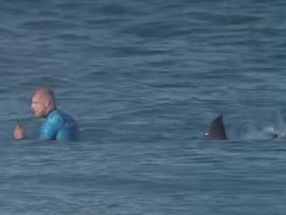 Surfer Mick Fanning attacked by shark during competition