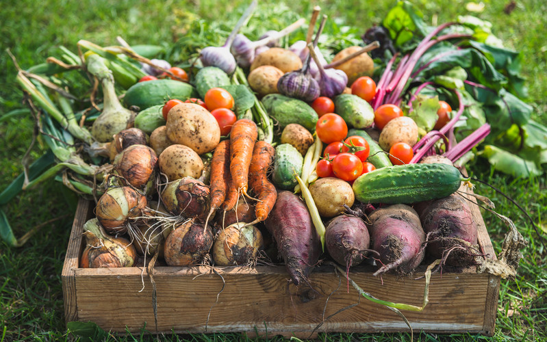 3/4 Poles do not know how many fruits and vegetables should be consumed