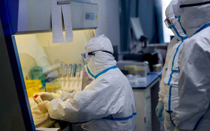 Scientists study genes to fast-track testing of coronavirus vaccines