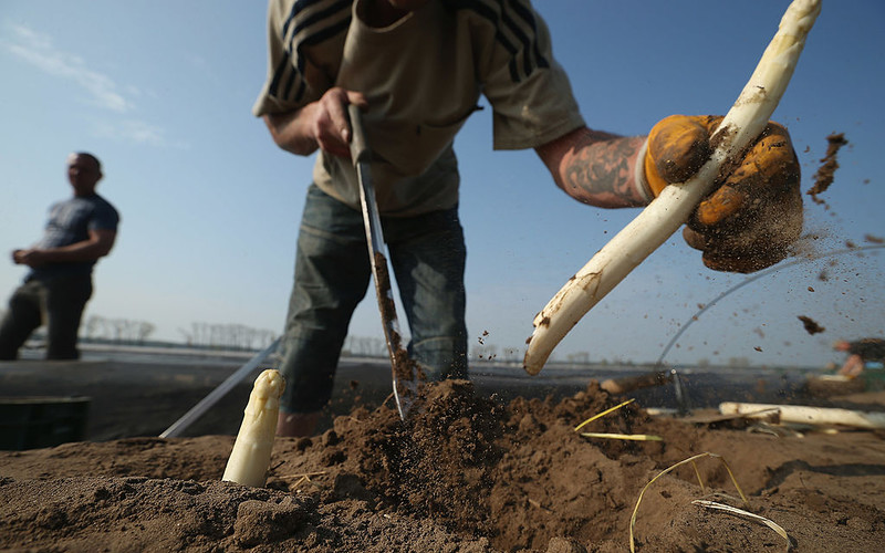 Germany: Seasonal worker died of coronavirus