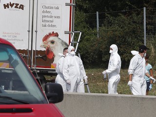 Migrant crisis: 71 bodies found in Austria lorry