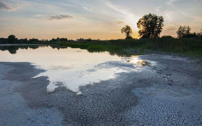 Hydrolog: Musimy się liczyć z jedną z najgorszych susz w historii Polski