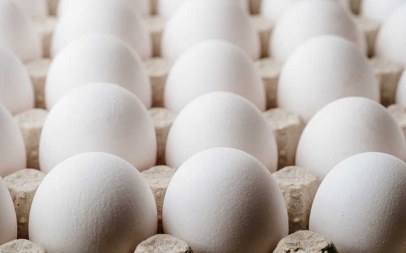 Tesco wprowadza do sprzedaży jaja w białych skorupkach. Po raz pierwszy od 40 lat