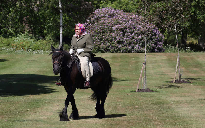 Queen relaxes with a special horse ride in first public appearance since lockdown