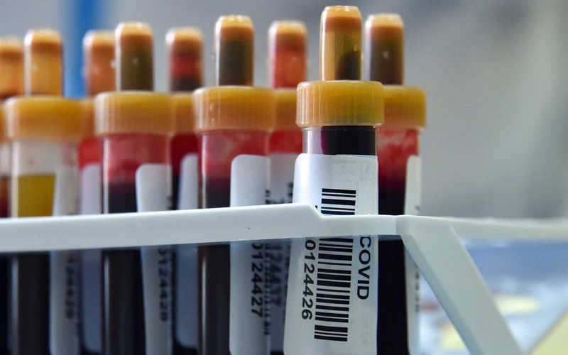 5,5 percent of blood donors living in the Netherlands have corona antibodies