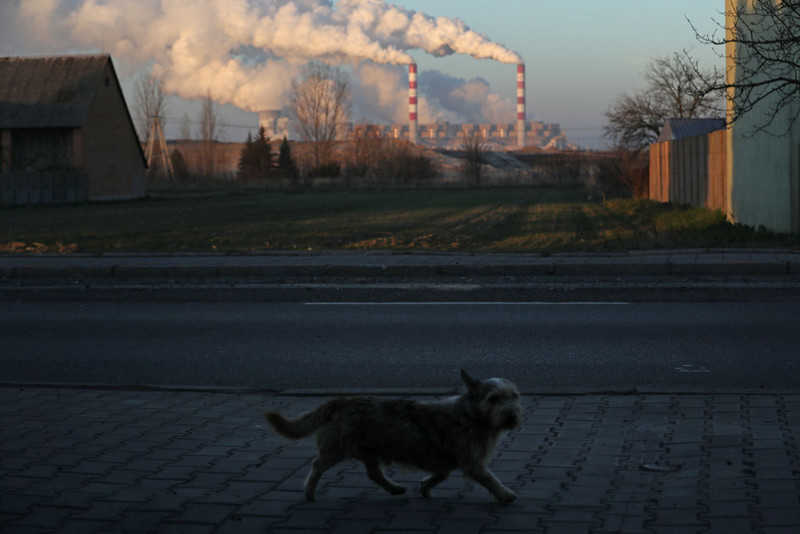 Badanie: 8 na 10 Polaków zdaje sobie sprawę z problemów ekologicznych