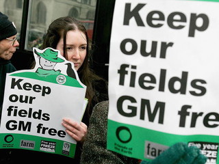 2/3 Unii Europejskiej chce być wolne od GMO