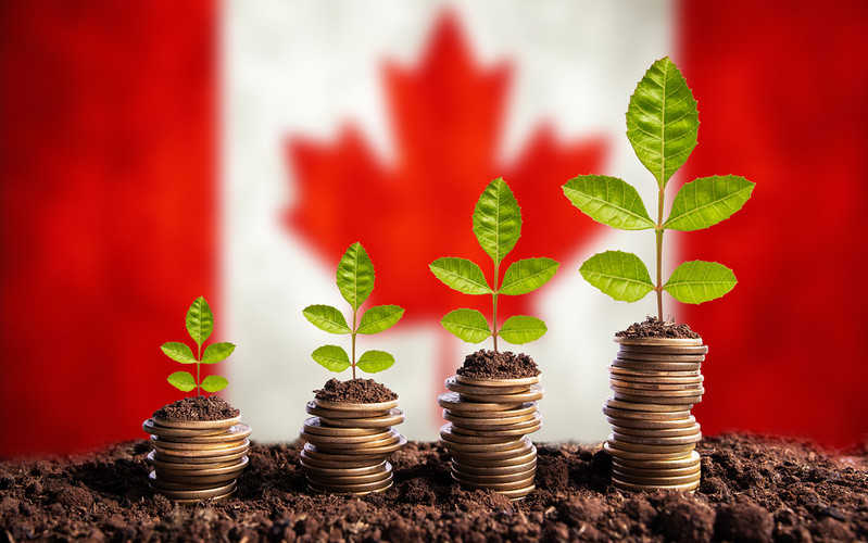Kanada: 1 proc. najbogatszych posiada jedną czwartą majątku w kraju