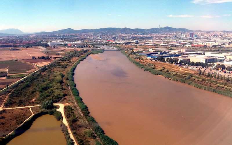 Coronavirus found in Barcelona waste water sample from March 2019