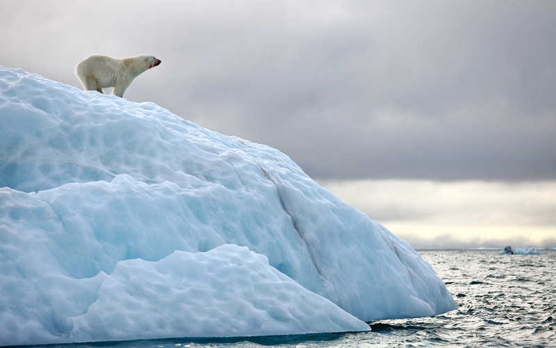 Rekord ciepła na Spitsbergenie. Naukowcy biją na alarm