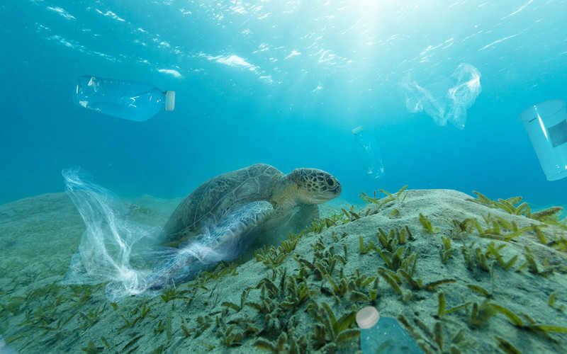 More than 14m tonnes of plastic believed to be at the bottom of the ocean