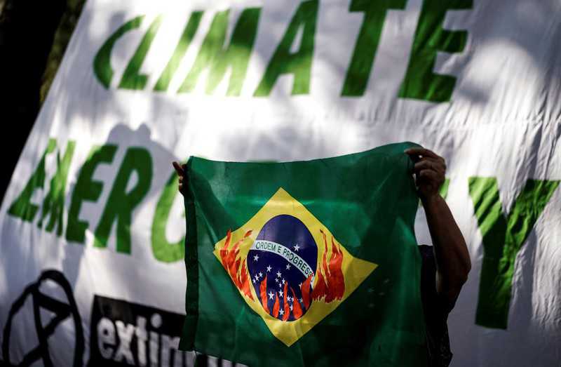 Brazil: Amazon forests "on the verge of self-destruction"