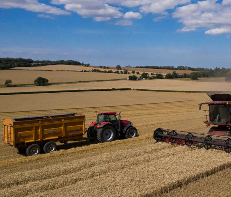 Brytyjscy farmerzy potrzebują zagranicznych pracowników sezonowych