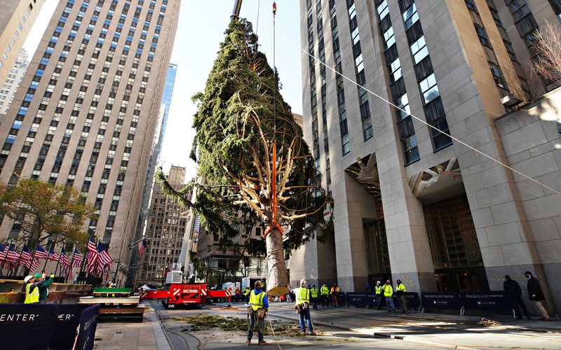 Świąteczna choinka dotarła do nowojorskiego Rockefeller Center