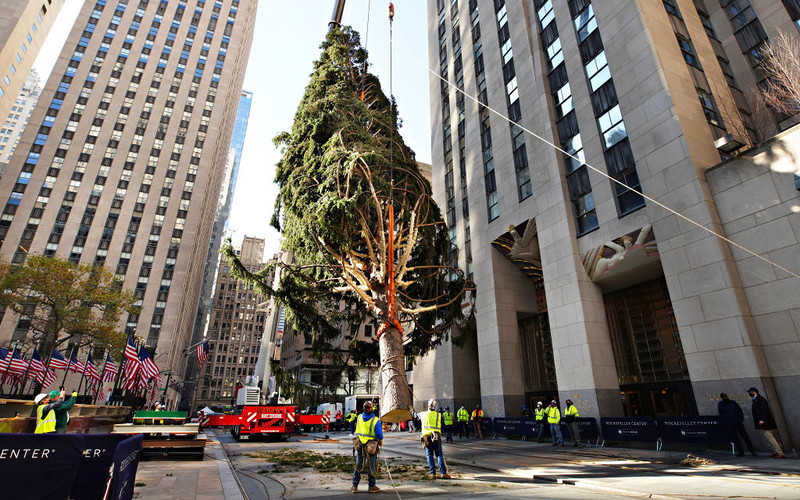 2020 Rockefeller Center Christmas tree goes up