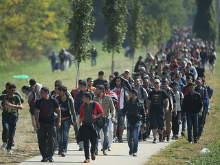 UE przyznaje: "Większość osób przybywających do Europy to imigranci ekonomiczni, nie uchodźcy"