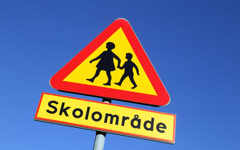 Sweden: The children of immigrants do not know the Swedish language