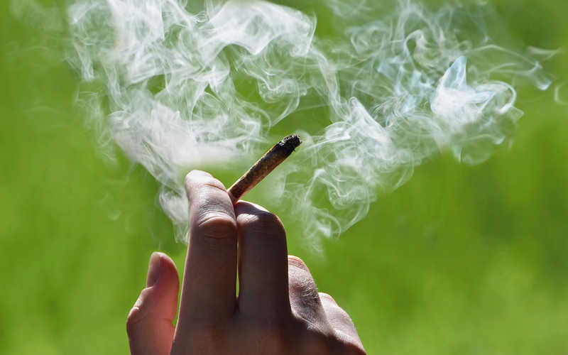 Legalizacja marihuany w Polsce coraz bliżej?
