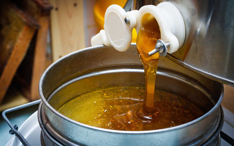 KOWR: Poland is the leading producer of honey in the EU
