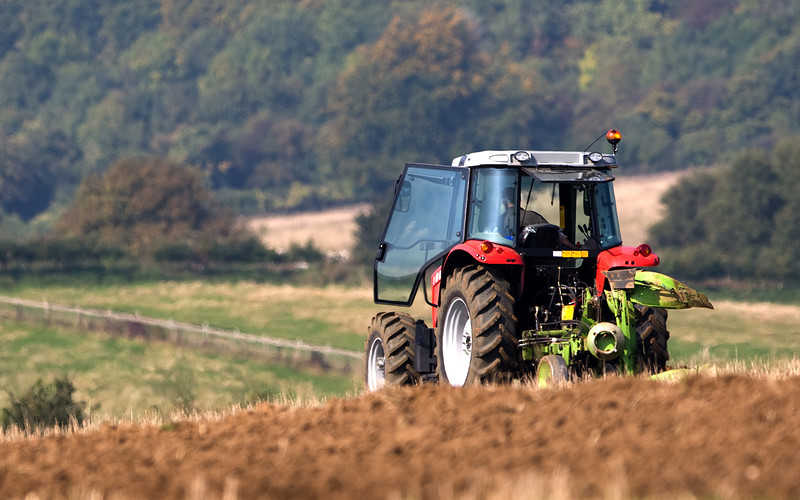 Brexit bez umowy to cios w polskie rolnictwo