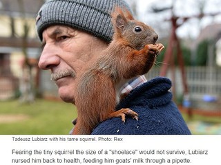 Polak, który wychował wiewiórkę, bohaterem mediów na świecie