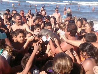 Turyści zabili małego delfina, bo chcieli zrobić sobie z nim selfie 