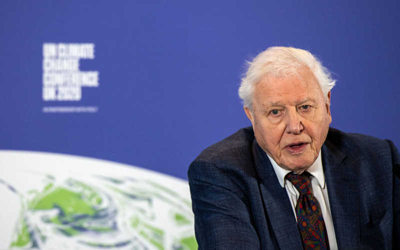 Kinga Rusin prosi sir Davida Attenborough, by oddał instagramowe konto młodym aktywistom