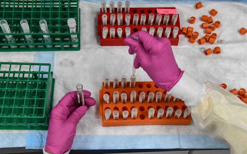 Polacy pracują nad szczepionką na Covid-19, która zarazem leczy