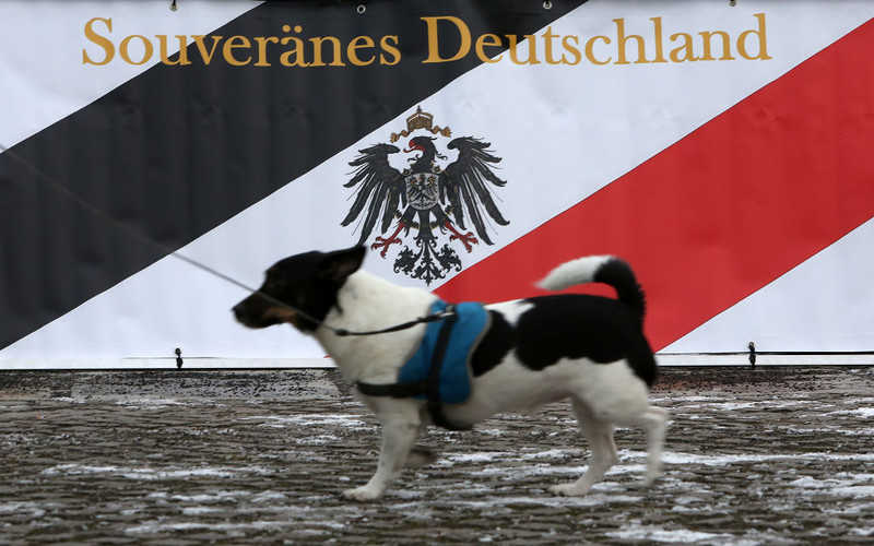 Niemcy: Weterynarze nauczyli psy wykrywać pacjentów z Covid-19