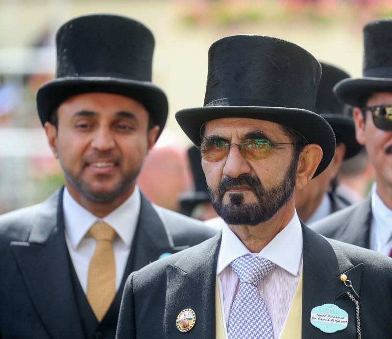 "The Guardian": Dubai Sheikh one of the largest landowners in the UK