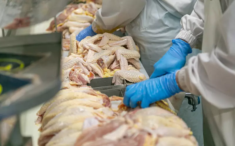 Polska wdraża nowe procedury, aby poprawić jakość mięsa importowanego do UK