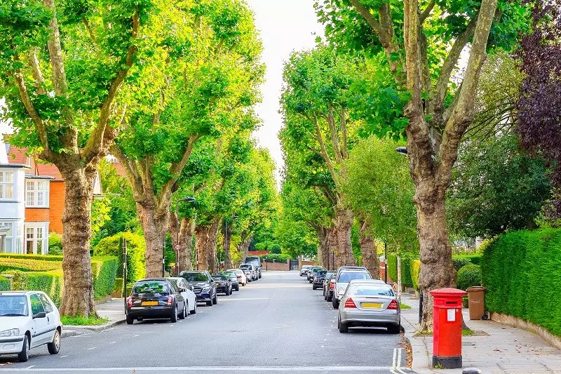 Londyn: W tych dzielnicach jest najwięcej drzew