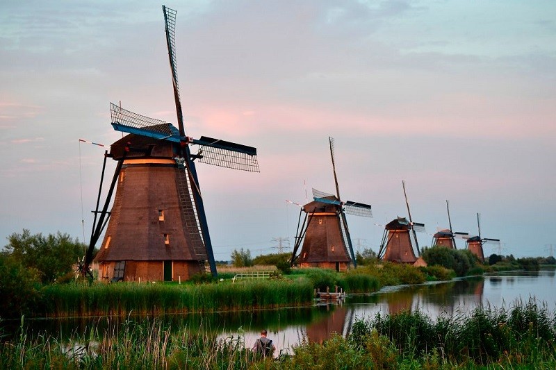 Almost half of holidaymakers stay in the Netherlands