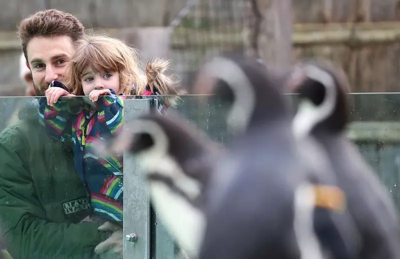 Zoo w Londynie z ofertą "tylko dla dorosłych"
