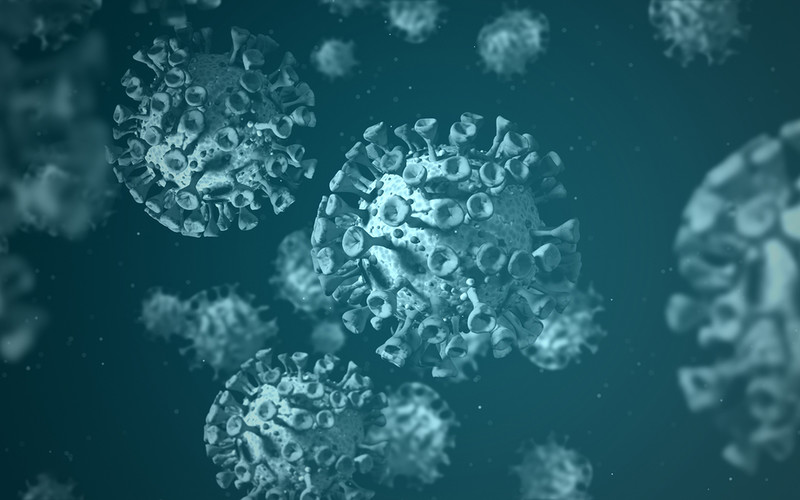 Bloomberg: US and EU want to clarify the origin of the coronavirus
