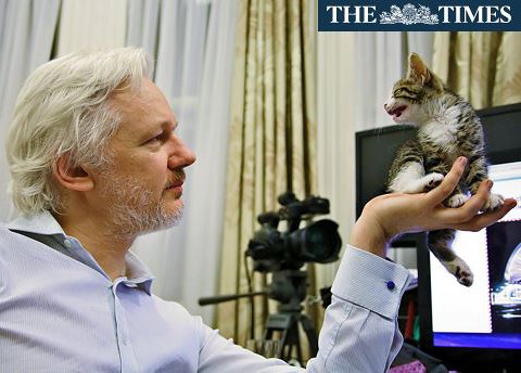 Julian Assange otrzymał kota. Ma mu dotrzymać towarzystwa