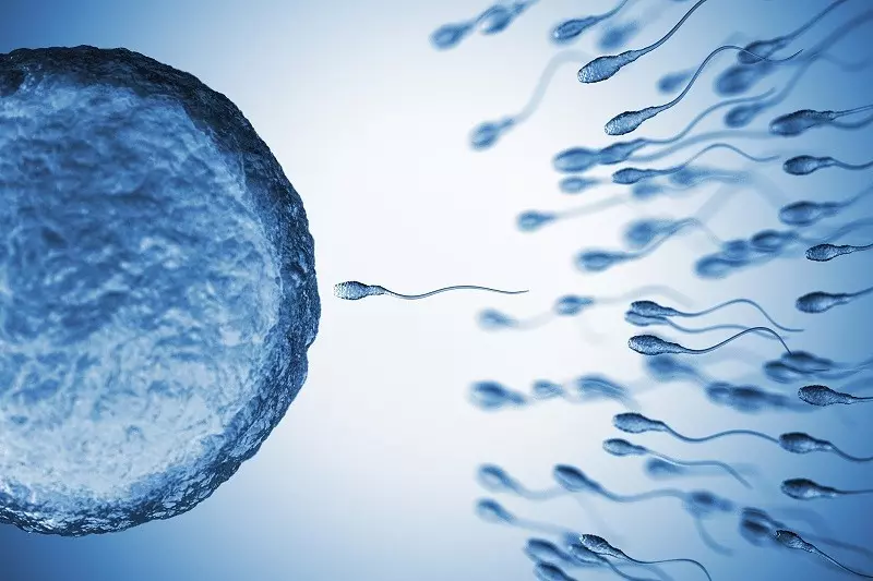  Study shows mRNA vaccines do not decrease sperm count