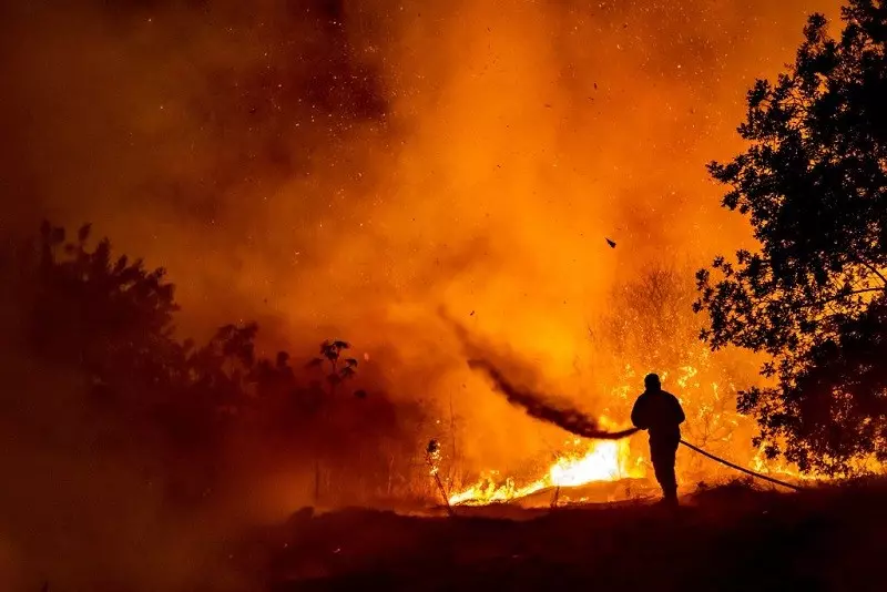 ‘Pure hell’: Cyprus hit by worst forest fire in decades