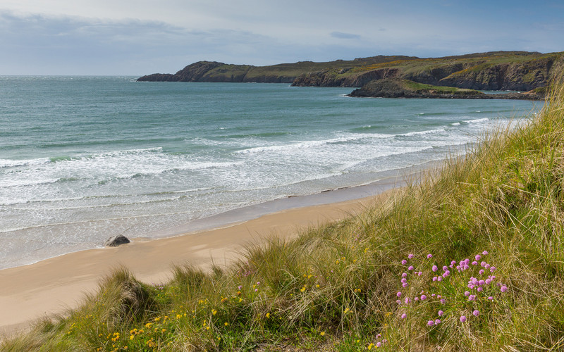 UK: Setki szkieletów na plaży po ostatnich sztormach