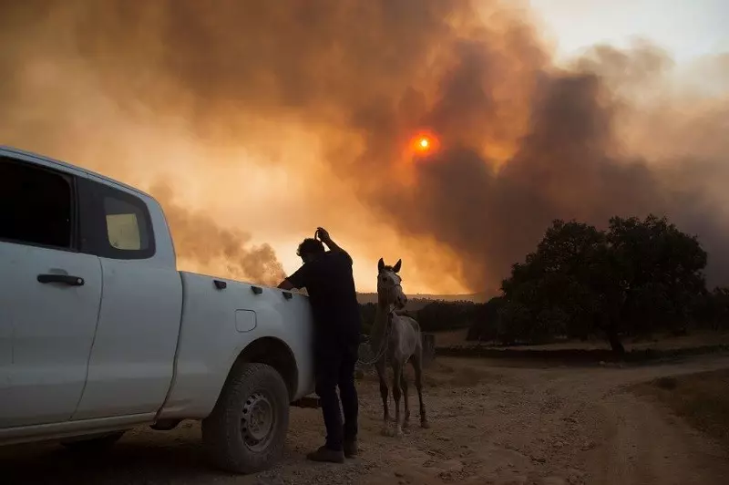 Major fires in Spain, Italy and California