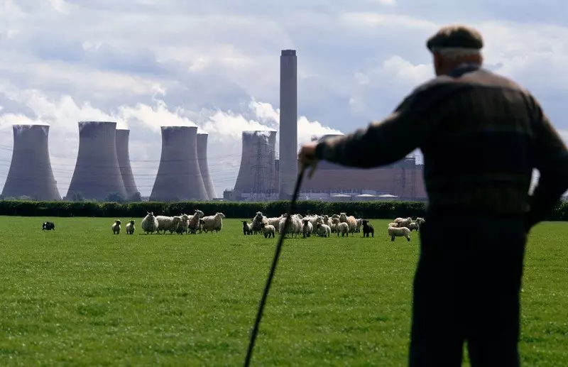 Brytyjski rząd chce zablokować udział Chin w budowie elektrowni jądrowych