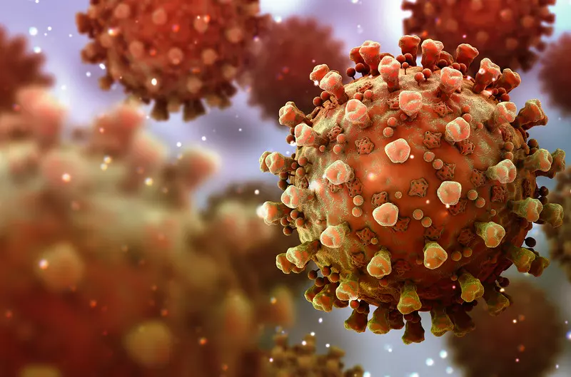 Badacze: Nowe nanociała blokują SARS-CoV2