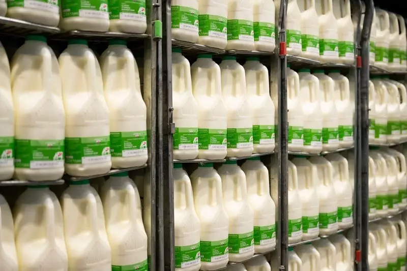 Driver shortage crisis threatens UK milk deliveries in wake of Brexit and Covid