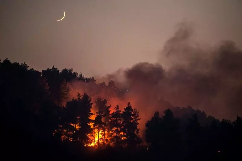 Grecja: Strażacy opanowali pożary w Gortynii i Megalopoli. Eubea wciąż płonie